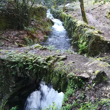 Alojamento de Turismo Selvagem Casinha Do Talasnal