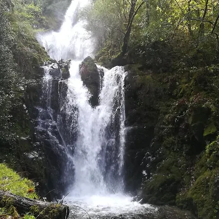 Alojamento de Turismo Selvagem Casinha Do Talasnal Lousã