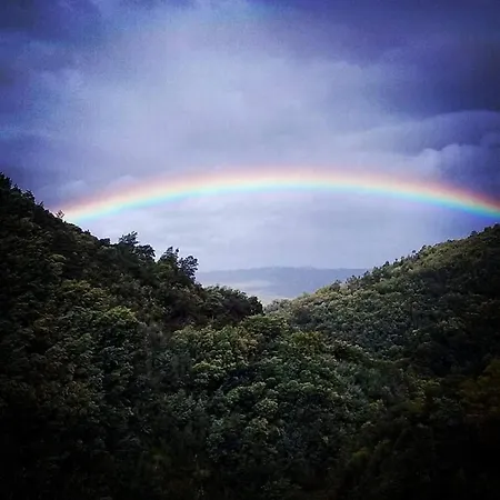 Деревянный коттедж Casinha Do Talasnal Луса