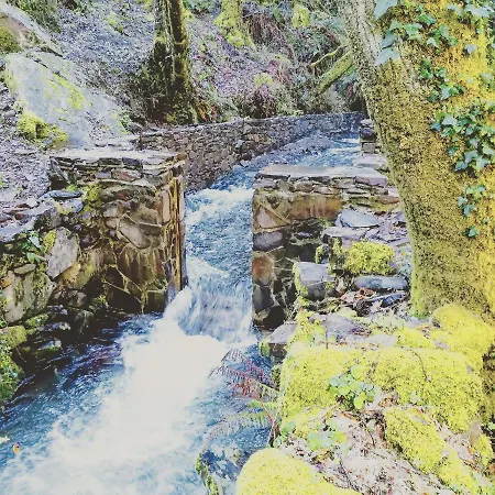 Casinha Do Talasnal *