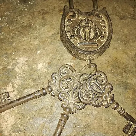 Alojamento de Turismo Selvagem Casinha Do Talasnal