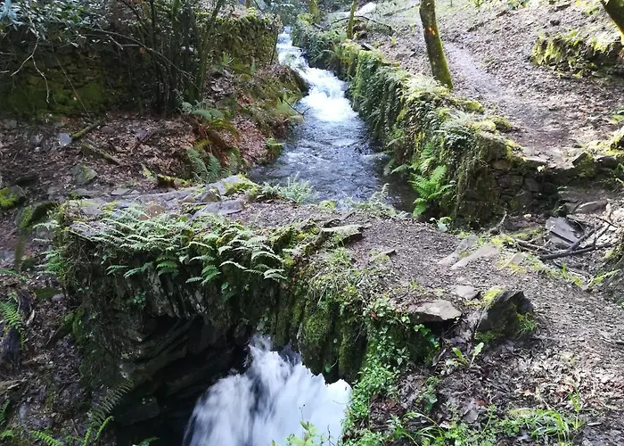 אכסניה Casinha Do Talasnal