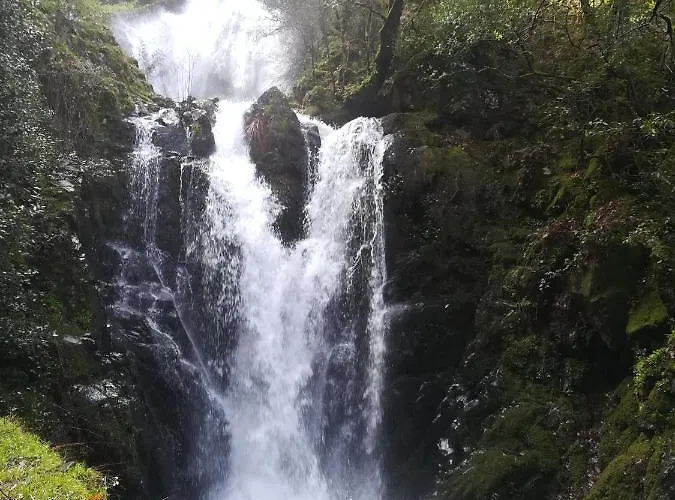 אכסניה Casinha Do Talasnal לאוסה